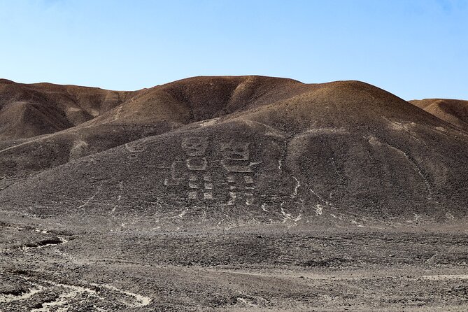 Private Tour Miradores Palpa Nazca with Nazca Lines Overflight - Torre Mirador de Las Lines de Nasca: Panoramic Photo Time from a 5-Story Viewpoint