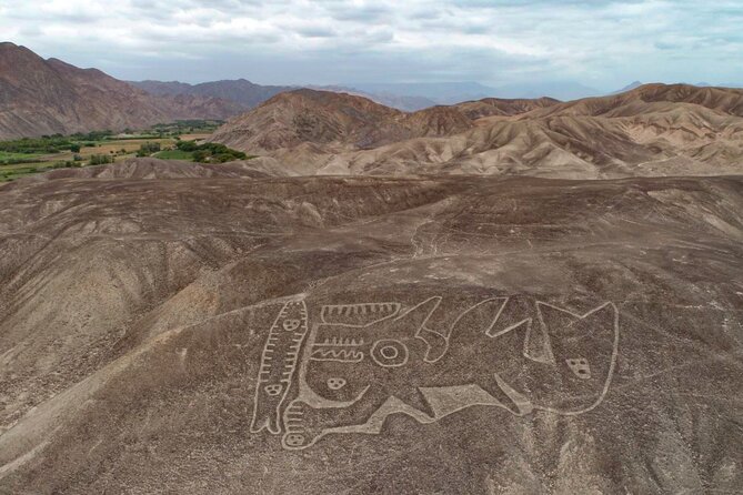 Private Tour Miradores Palpa Nazca with Nazca Lines Overflight - Geoglifos de Palpa Viewpoints: Royal Family, El Tumi, and Desert Animals