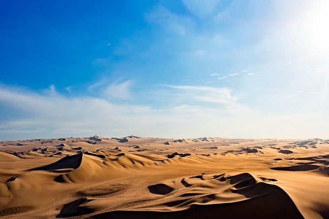 Private Tour to Huacachina from Paracas - Winery and Pisco Tasting in Ica, the Part You’ll Talk About Later
