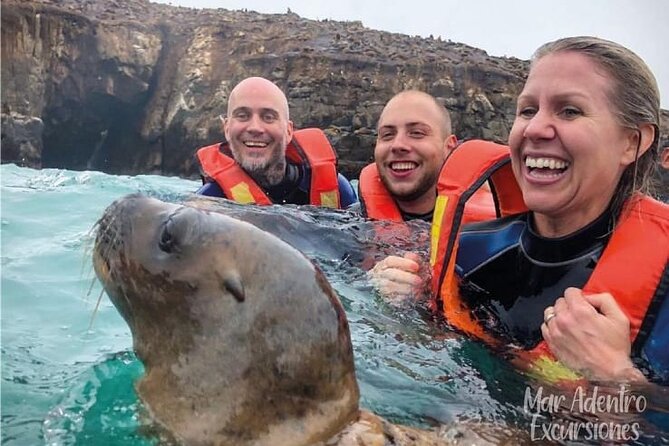 Private Tour to spot Sea Lions in Palomino Islands From Lima - Key points before you go