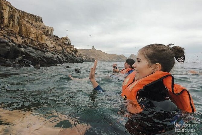 Private Tour to spot Sea Lions in Palomino Islands From Lima - Guides, safety, and respecting the sea