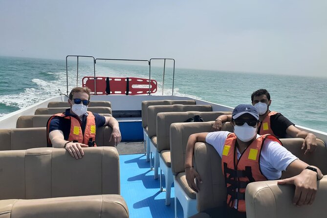 Private Tour to spot Sea Lions in Palomino Islands From Lima - Callao bay and San Lorenzo: ships, guano birds, and Humboldt penguins