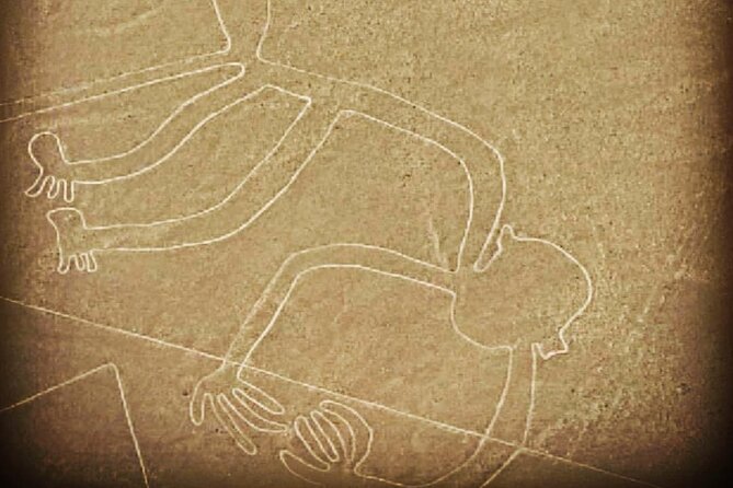 Private Tour to the Astonished Nazca Lines and Huacachina Oasis - Who This Tour Suits Best, and Who Might Reconsider