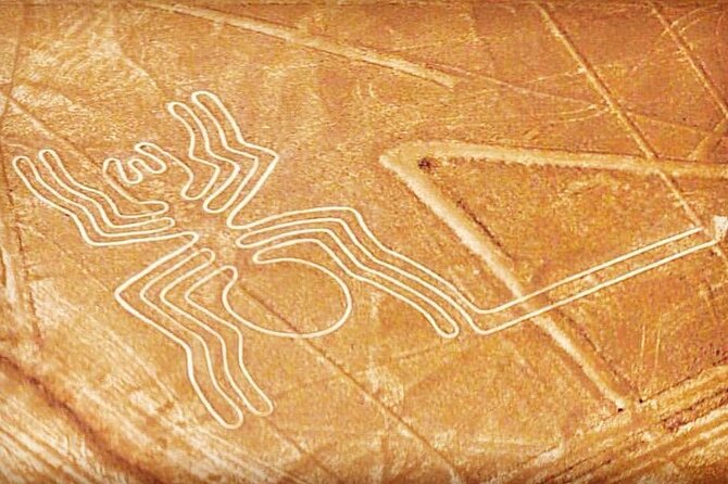 Private Tour to the Astonished Nazca Lines and Huacachina Oasis - Pisco Nietto Vineyard Stop: Wines, Pisco Tasting, and Lunch You Plan Yourself