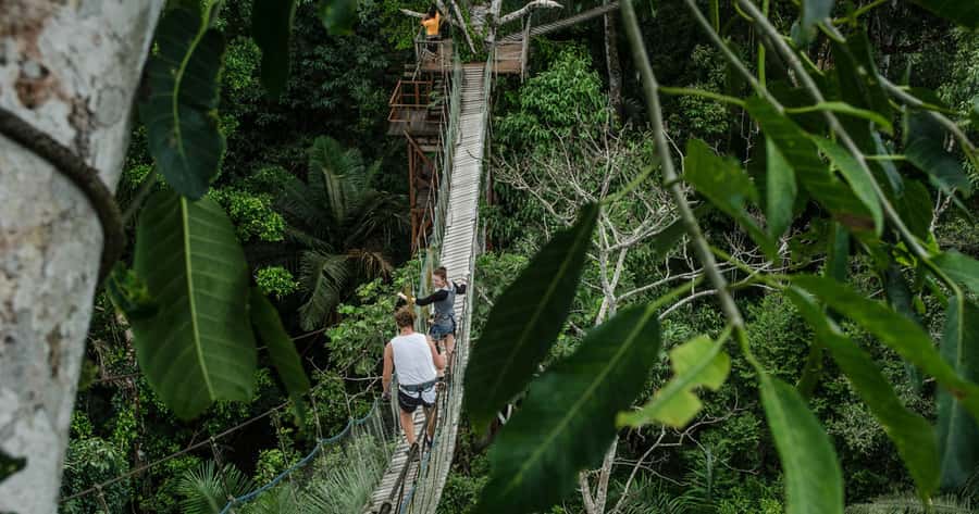 Puerto Maldonado: 2-Day Peruvian Tambopata Jungle Trip - Puerto Maldonado to the Lodge: where the trip really starts