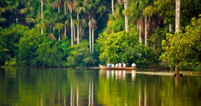 2-Day Peruvian Tambopata Jungle Trip