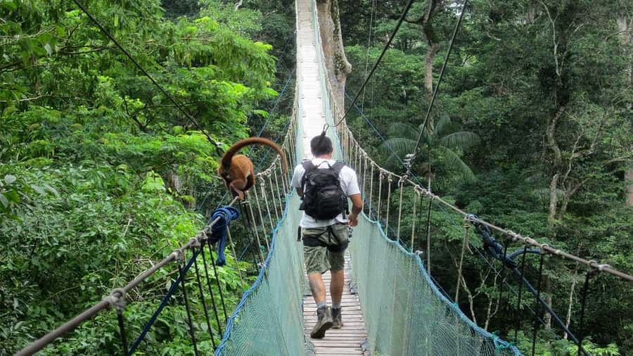 Puerto Maldonado: 2-Day Peruvian Tambopata Jungle Trip - Canoeing on Sandoval Lake: the best place to slow down