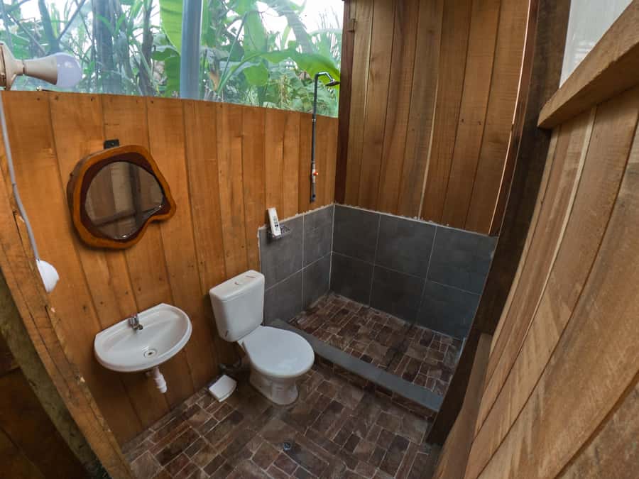 Puerto Maldonado: 4-Day Tambopata Rainforest Tour - Day 3: Machigenga community visit, capybaras, then Santa Teresa wetland for parrot and macaw nesting