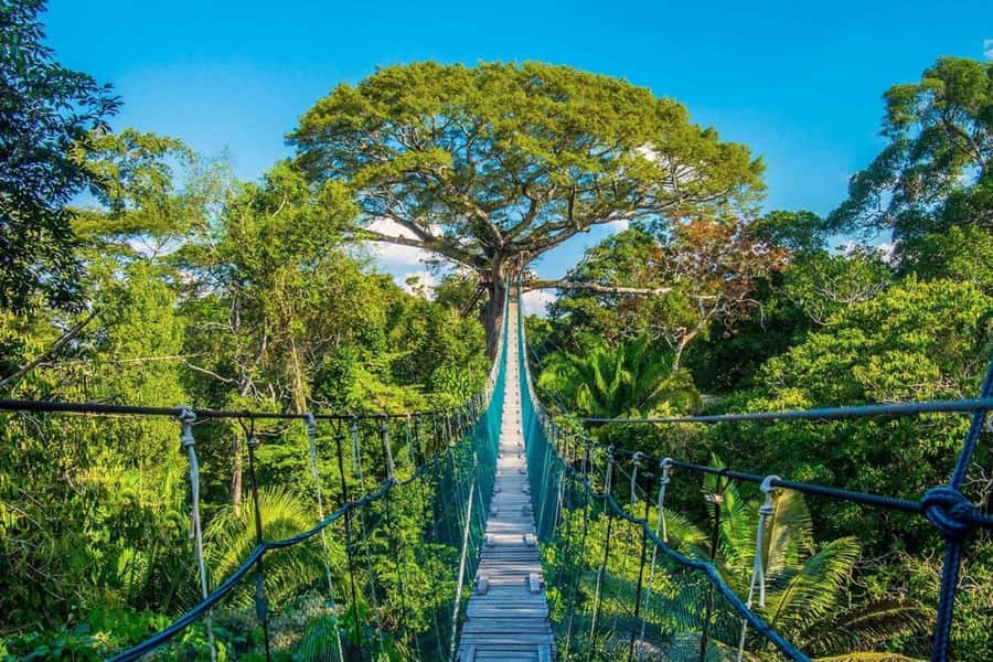 Puerto Maldonado: Jungle Adventure |Zipline + Canopy + Kayak - Getting From Puerto Maldonado Into the Jungle (Without Losing the Day)