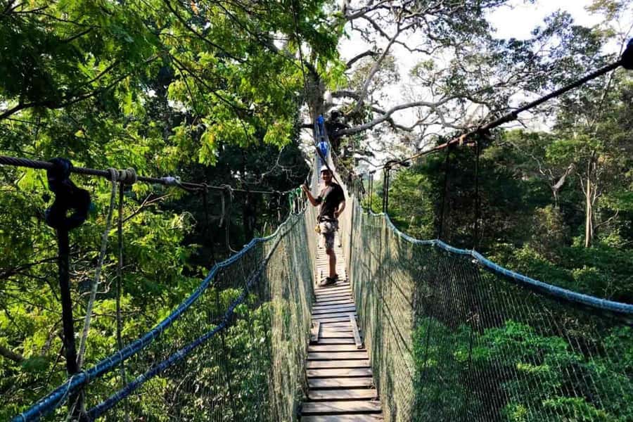 Puerto Maldonado: Jungle Adventure |Zipline + Canopy + Kayak - The Suspension Bridge Canopy Walk: Short, Swingy, and Full of Bird Chances