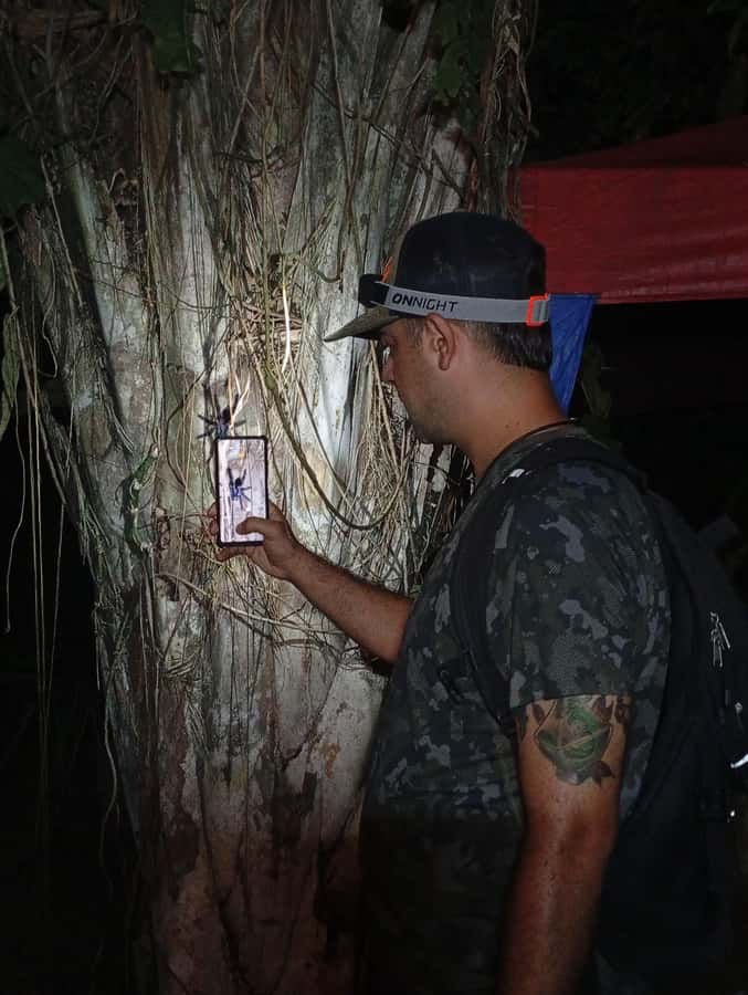 Puerto Maldonado: Jungle Night Tour with Sloths & Tarantulas - Why a Tambopata Night Walk Feels Different Than Daytime