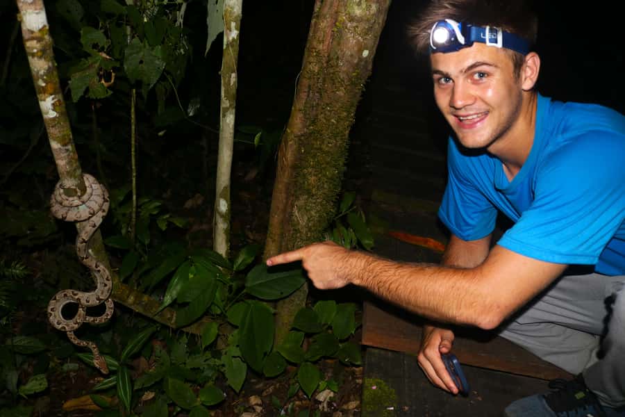 Puerto Maldonado: Jungle Night Tour with Sloths & Tarantulas - The Night Hunt Focuses on Tarantulas and Sloths