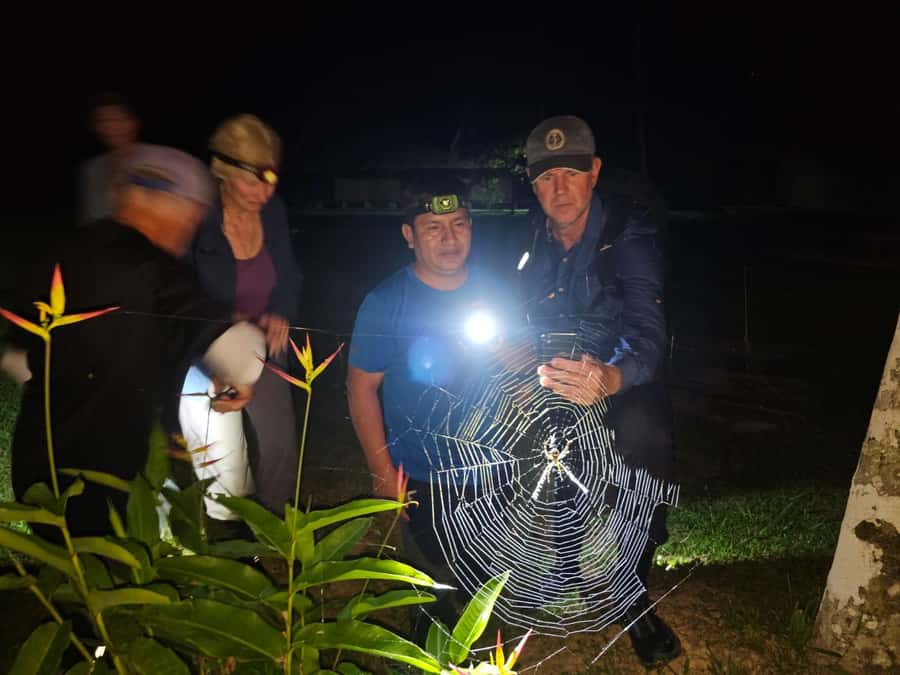 Puerto Maldonado: Jungle Night Tour with Sloths & Tarantulas - Puerto Maldonado Pickup and the Short Route Into the Reserve