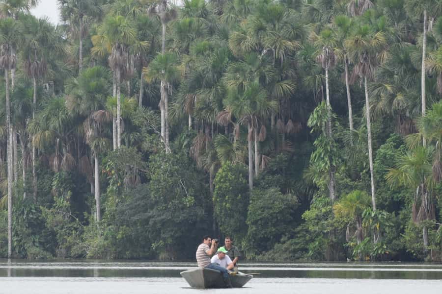 Puerto Maldonado: Sandoval Lake Full-Day Trip with Canoeing - The Madre de Dios River boat ride: more than just transportation