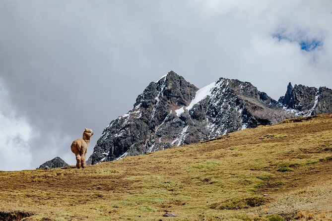 Rainbow Mountain and Red Valley Hike - 2 Days / 1 Night - Altitude, fitness, and why weather can change everything