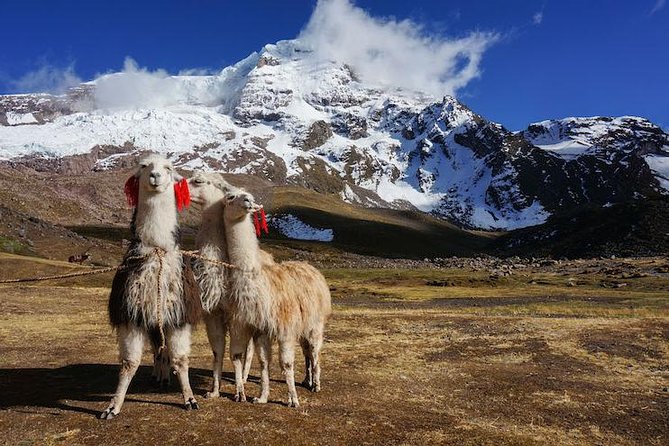 Rainbow Mountain and Red Valley - Private Service - From Plaza Regocijo to Cusipata: how the day starts calm and organized