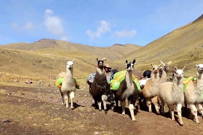 Rainbow Mountain and Red Valley - Private Service - The hike to Vinicunca: what it feels like and how to plan your effort
