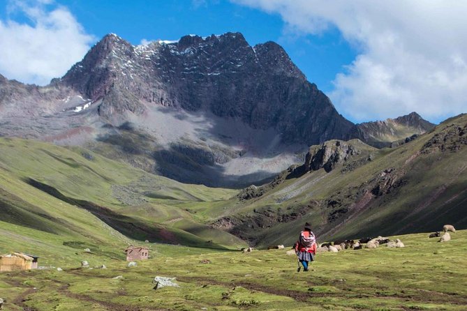 Rainbow Mountain Day Trip from Cusco – Full Day Guided Adventure - The 3-hour uphill trek, with alpacas, llamas, and big views