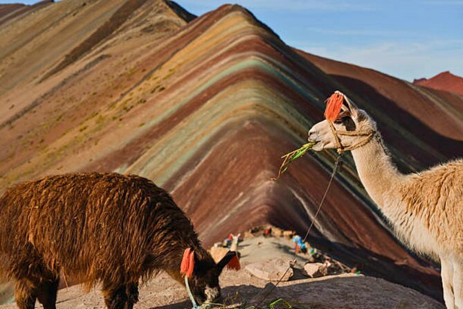 Rainbow Mountain Day Trip from Cusco Vinicunca Adventure - Summit time on Rainbow Mountain: photos, wind, and the short rest that counts