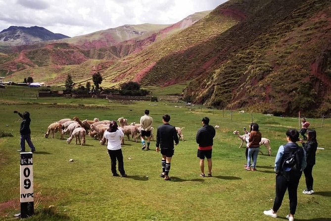 Rainbow Mountain Palccoyo 1 day ( Cusco ) - Price and Cash Reality: What $35 Covers, Plus Entrance Fees