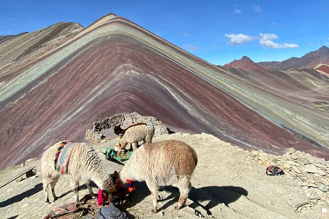 Rainbow Mountain & Red Valley Tour (Premium Service) - Phulawasipata Base Camp: Where the Day Really Starts