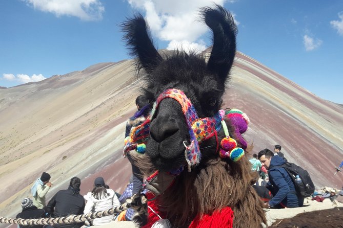 Rainbow Mountain Tour Vinicunca (Full Day) - What you actually see at the summit: stripes, glaciers, and wide skies