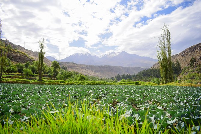 Rock climbing in Arequipa and the Andes of Peru - Timing and how this fits into your Arequipa day