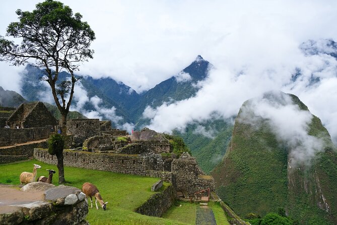 Sacred Valley and Machu Picchu 2 Day Tour with Accommodation - Why this Sacred Valley to Machu Picchu plan feels efficient