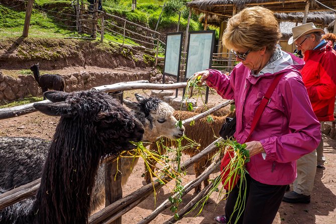 Sacred Valley and Machu Picchu Tour in 2 days with Peru Vip - Pisac ruins, terraces, and how agriculture shaped the power