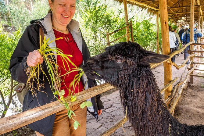 Sacred Valley and Machu Picchu Tour in 2 days with Peru Vip - Train to Aguas Calientes, and why it changes the vibe