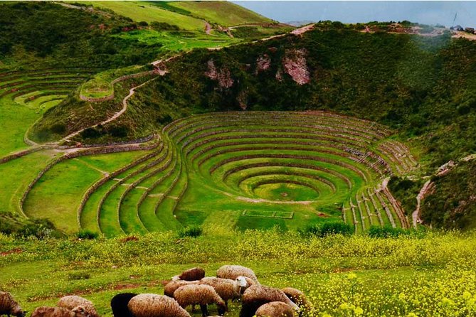 Sacred Valley || Chinchero || Salt Mines || Moray || From Ollantaytambo || - Chinchero: Textiles, Alpaca Clothing, and a Trade-Off on Time