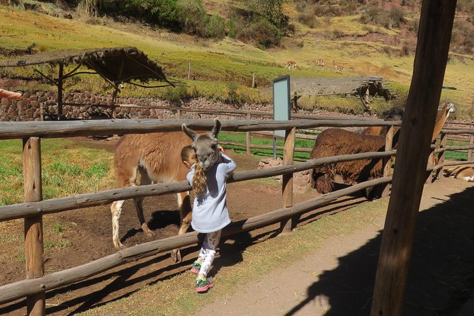 Sacred Valley & Machu Picchu 2 Day Tour From Cusco 2022 - Entering The Sacred Valley With Pisac, Market Time, and Alpacas