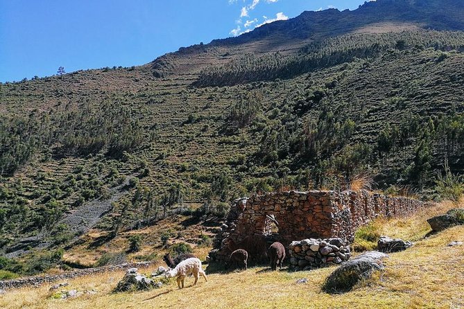 Sacred Valley tour (Day Trip) - Price and the real value check for $105 (plus site tickets)