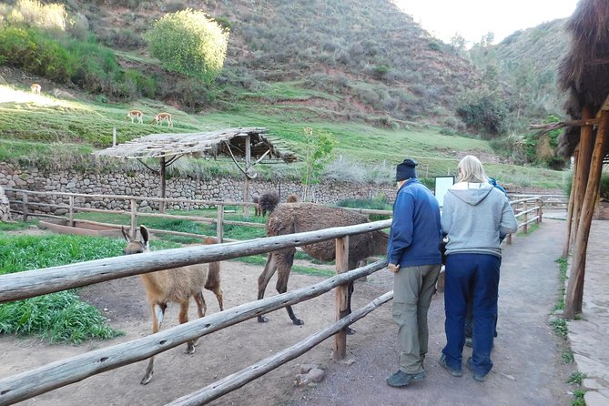 Sacred Valley Tour From either Urubamba or Ollantaytambo - Stop 1: Ollantaytambo Archaeological Park and the sectors most people miss