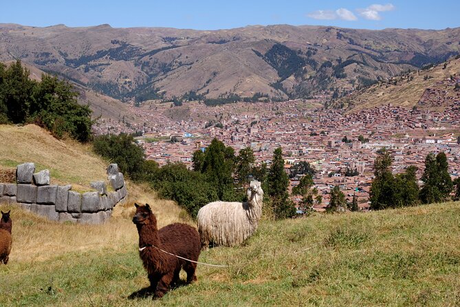 Sacsayhuaman Temple, Tambomachay and Puca Pucara Half-Day Tour - Tambomachay’s spring-fed channels: when water becomes the main story