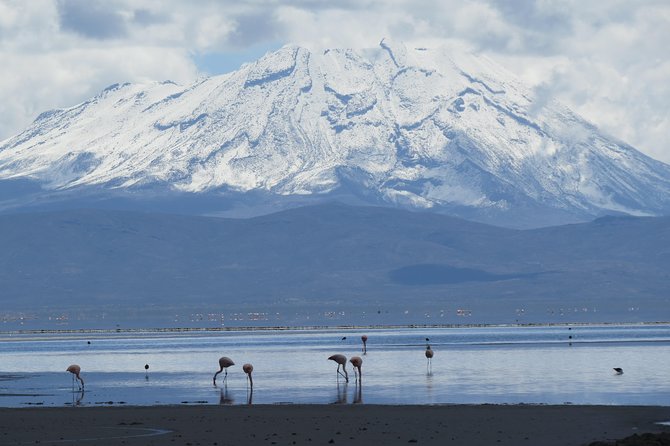 Salinas National Reserve PRIVATE TOUR - The picnic lunch inside the reserve is built for the day you are having