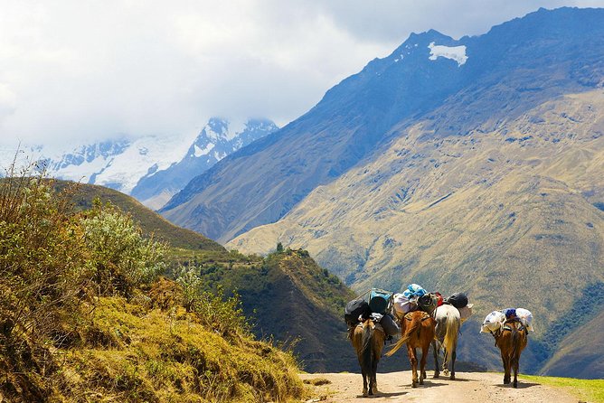 Salkantay Trek to Machu Picchu in 4 days - Key highlights you should know before you book