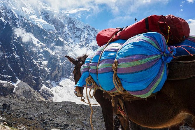 Salkantay Trek to Machu Picchu in 4 days - Guides, safety items, and what to confirm before you go