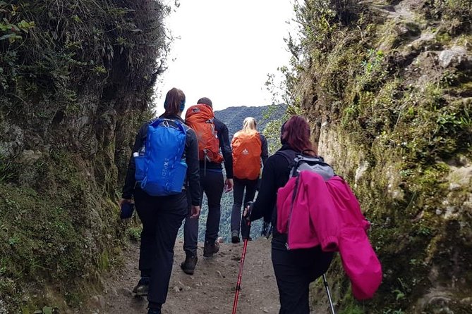 Salkantay Treking to Machupicchu Operational Services - How the Small Group (Max 15) Changes Your Day