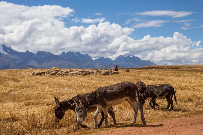 Salt Mines at Maras and Hiking to Tours of Sacred Valley - Meeting Valentin and the Pachamama team, and why it feels personal