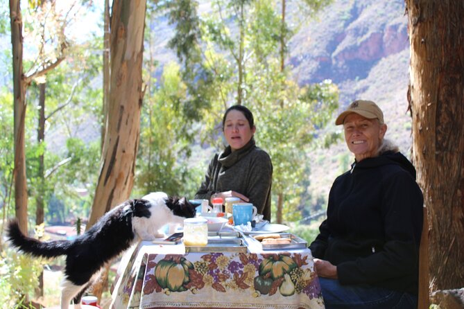 San Pedro Ceremony in Cusco - San Pedro Wachuma in the Sacred Valley, not Cusco streets