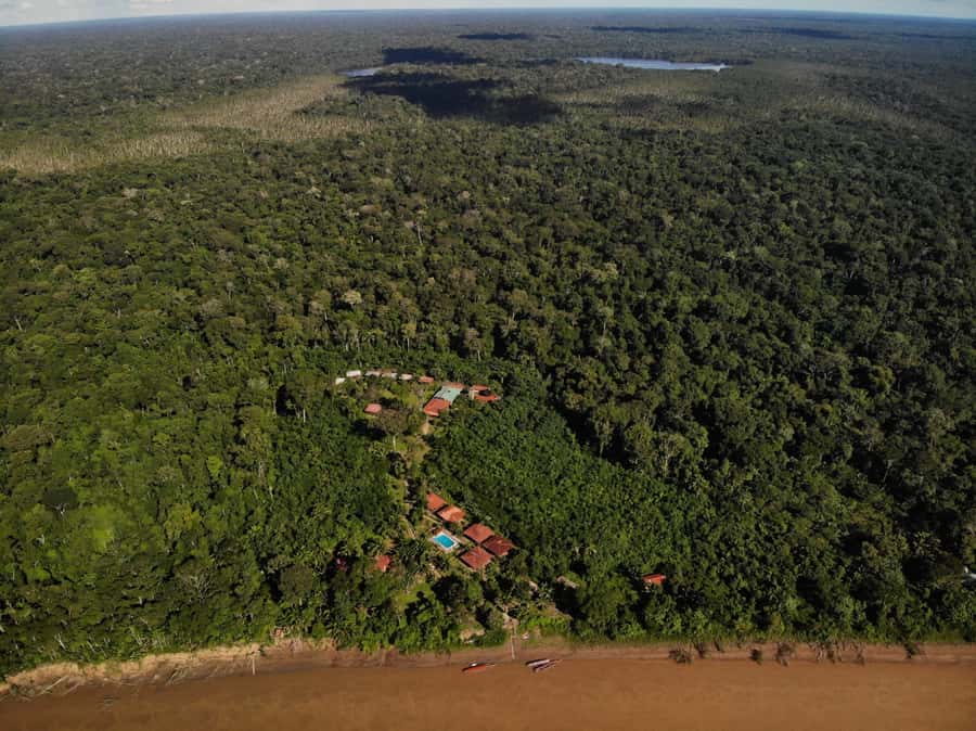 Sandoval lake 3 Days / 2 Nights - Why Sandoval Lake Is a Wildlife Magnet in the Tambopata Orbit
