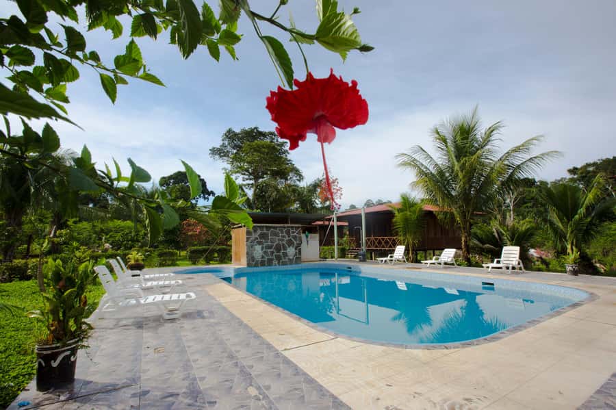 Sandoval Lake & Parrot Clay lick 3 Days/2 Nights - Where You Go: Tambopata, Madre de Dios, and MonteAmazonico Lodge