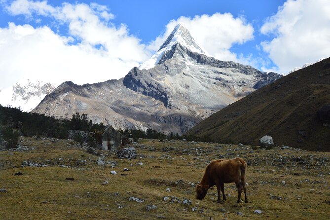 Santa Cruz 4 Days Trek - Meals, Water, and Cold-Weather Packing That Actually Matters
