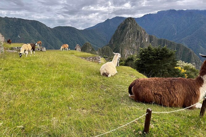 Short Inca Trail to Machu Picchu 2 Days and 1 Night - Who should book this short Inca Trail, and who should think twice