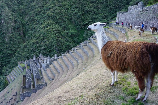 Short Inca Trail to Machu Picchu - 2 days - Glamping Service - Sunset at Machu Picchu on Day 1: what you should expect