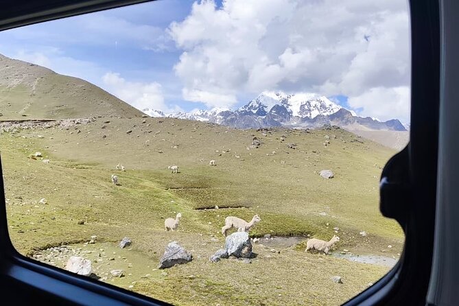 Singrenacocha Lagoon from Cusco - Who This Tour Fits Best (and Who Should Think Twice)