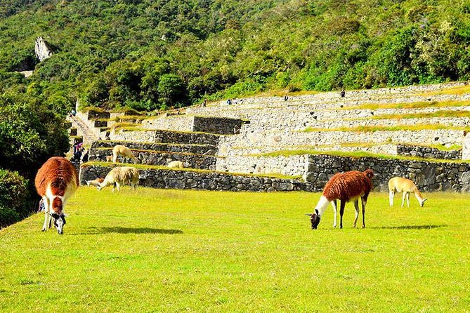 Small Group: 4-Day Inca Trail Trek to Machu Picchu - Day 3: Runkurakay, Sayacmarca, Phuyupatamarca Pass, and Wiñayhuayna