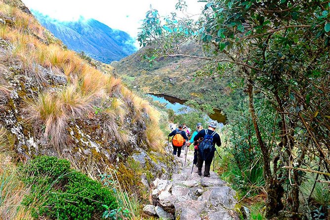 Small Group: 4-Day Inca Trail Trek to Machu Picchu - Day 4: Sun Gate (Inti Punku), Machu Picchu Terraces, and the Return to Cusco
