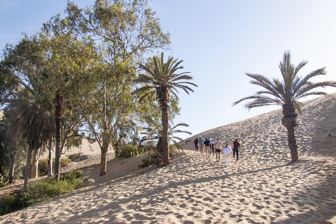 Sunset Dune Buggy & Sandboarding Tour in Huacachina, Peru - Oasis Huacachina stop: the calm 30 minutes before the action